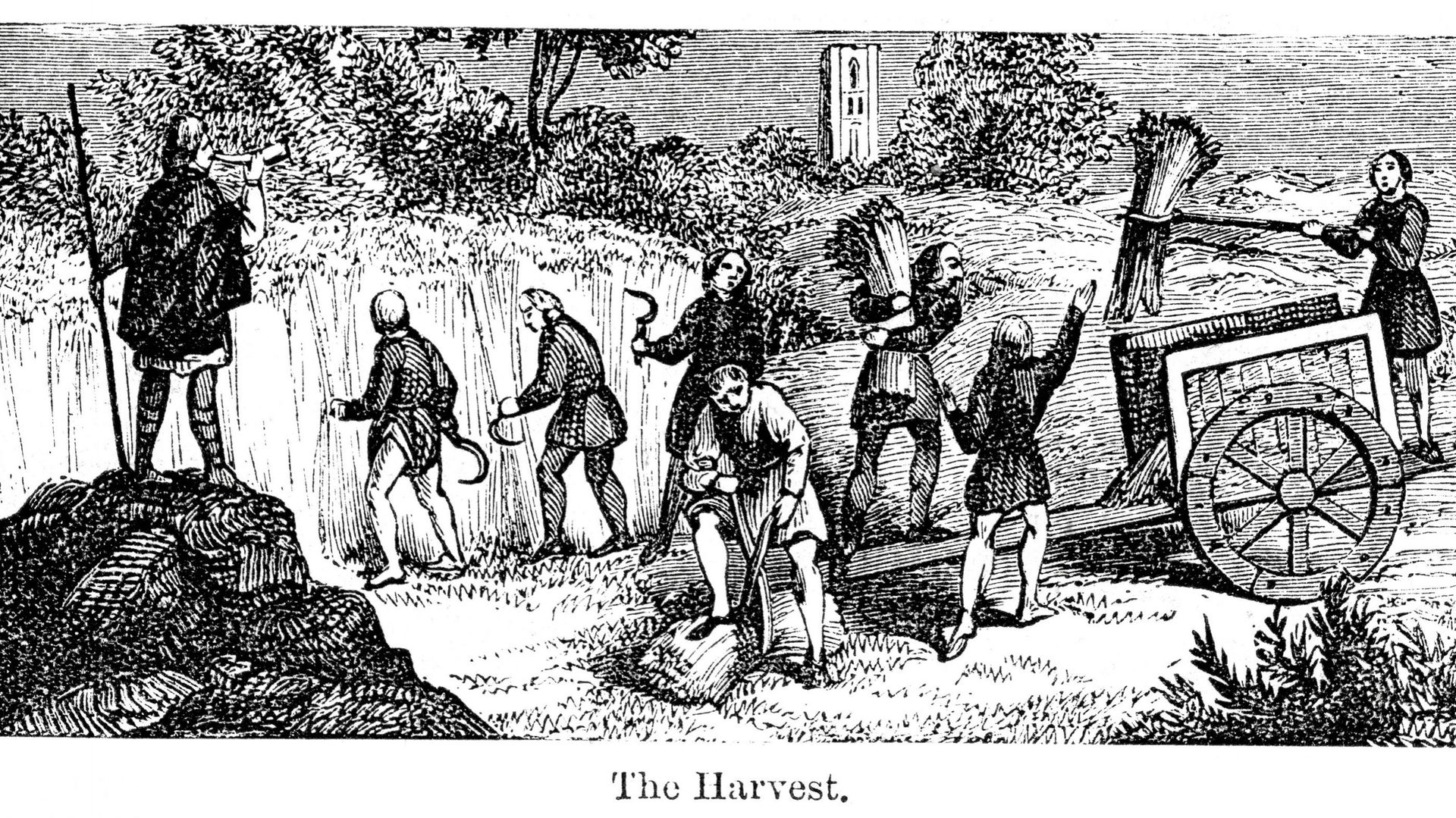 The Harvest, Gravue de paysans travaillant au champ au Moyen-Age