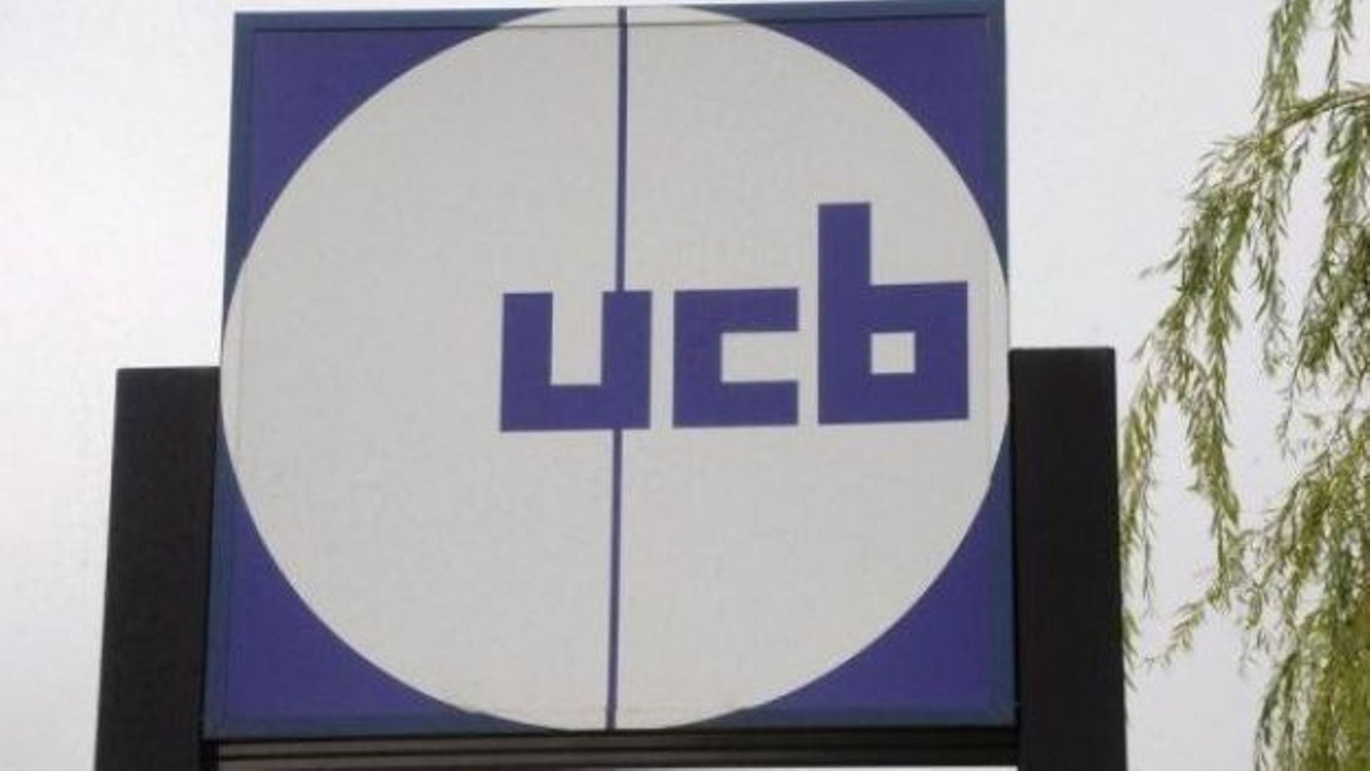 UCB est une entreprise belge biopharmaceutique.