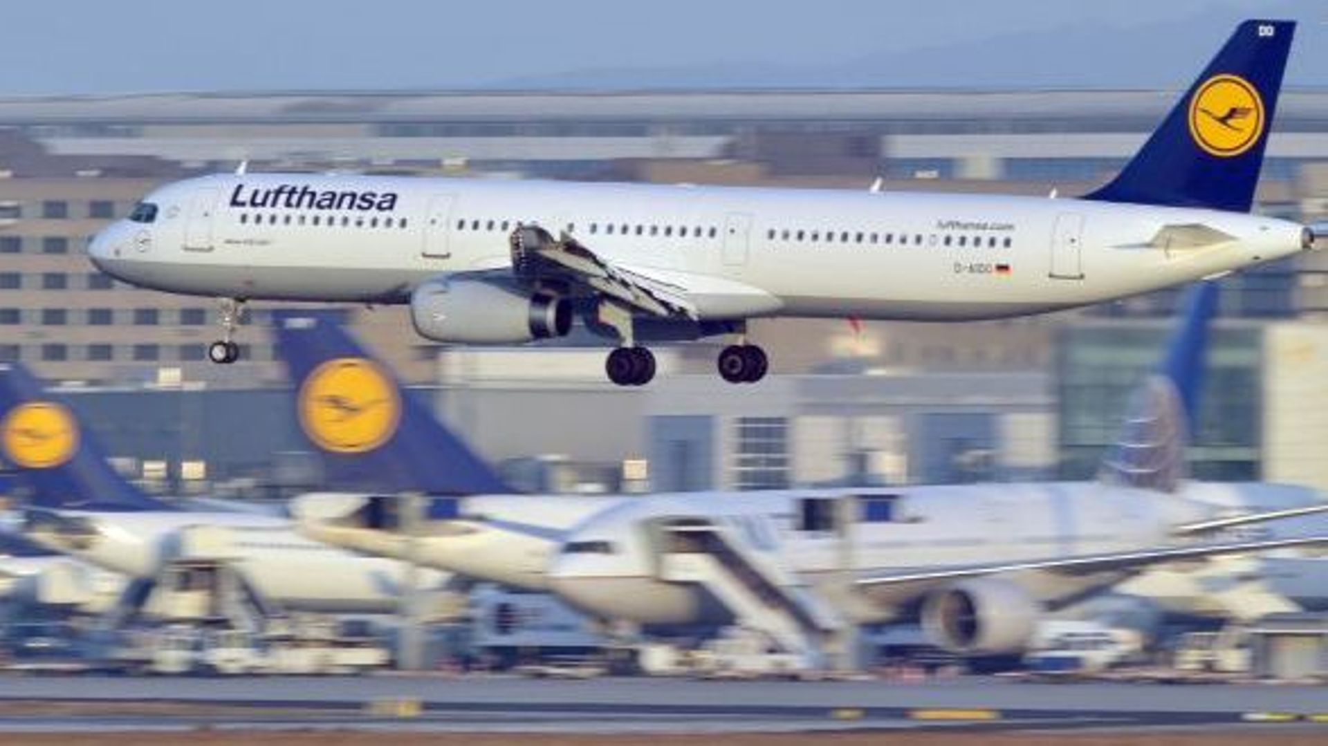 La Lufthansa à Francfort