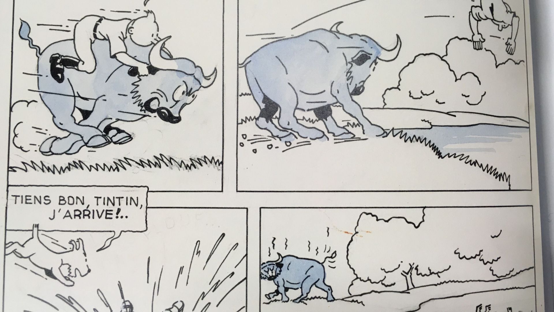 Sur les planches originales de 1930-1931, le bleu est un signal envoyé à l'imprimeur. Les premiers lecteurs, eux, découvrent Tintin au Congo uniquement en noir et blanc.