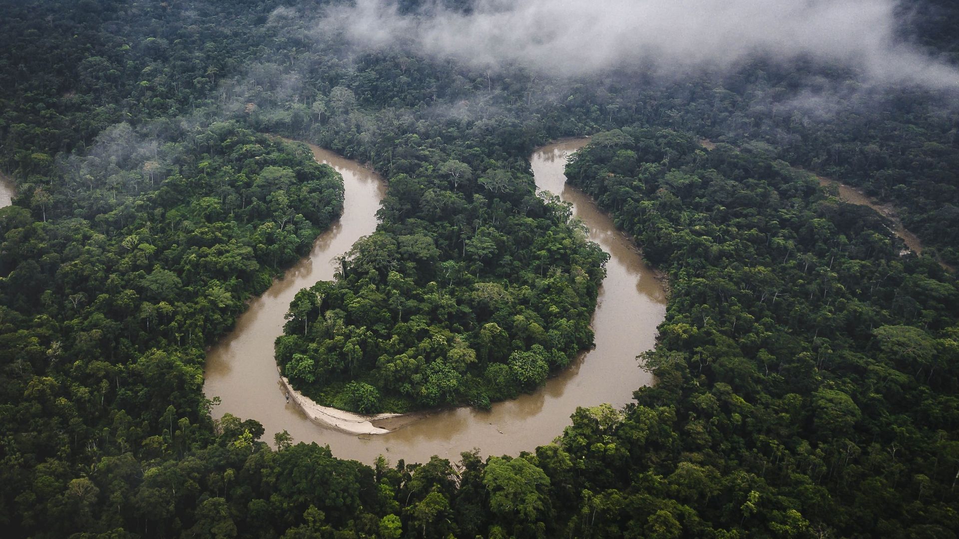 Le manque de pluie dans certaines zones d'Amazonie menace la survie des arbres de la forêt entière.