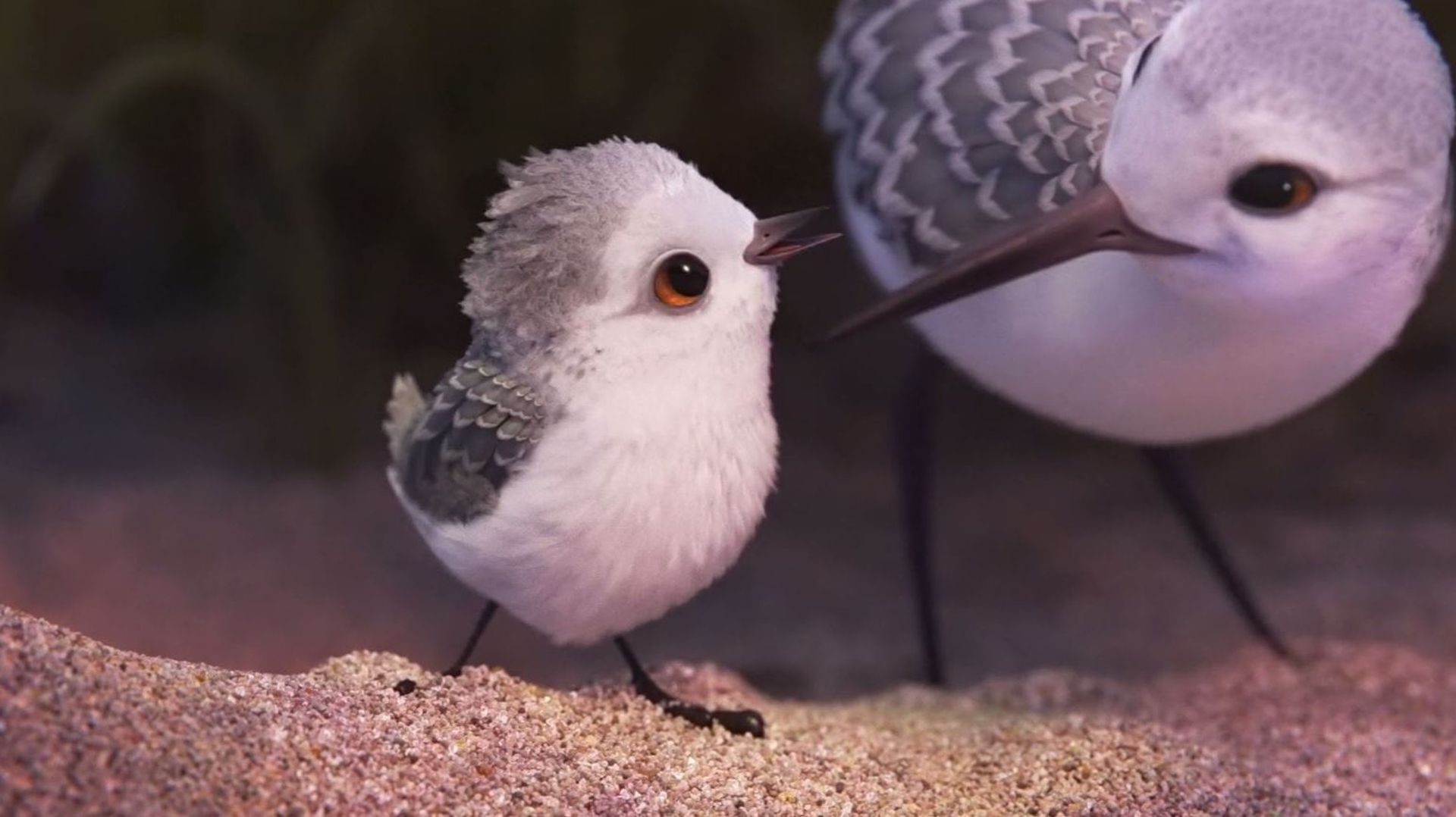 Pixar nous apporte 6 minutes de douceur dans ce court-métrage 