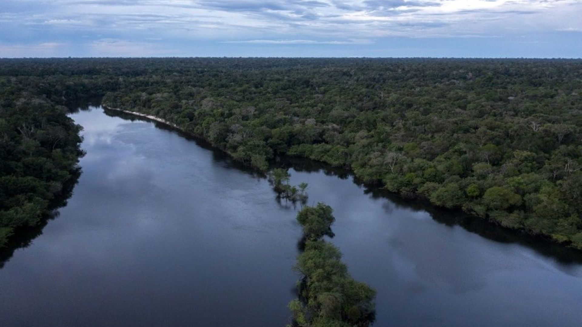 Biodiversité au Brésil : course contre la montre des scientifiques en Amazonie.
