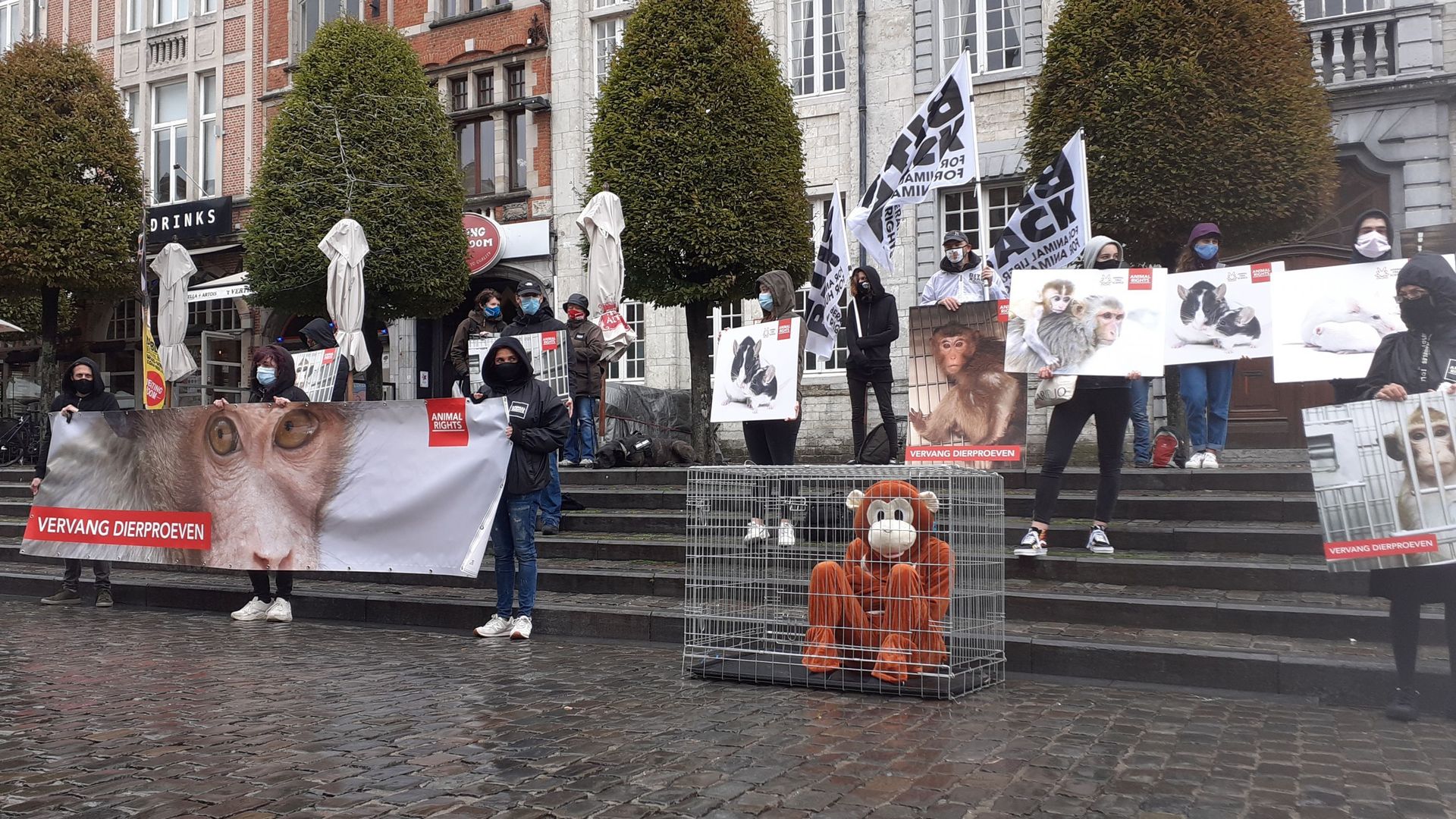 Animal Rights proteste contre les expériences menées sur des singes à la KU Leuven