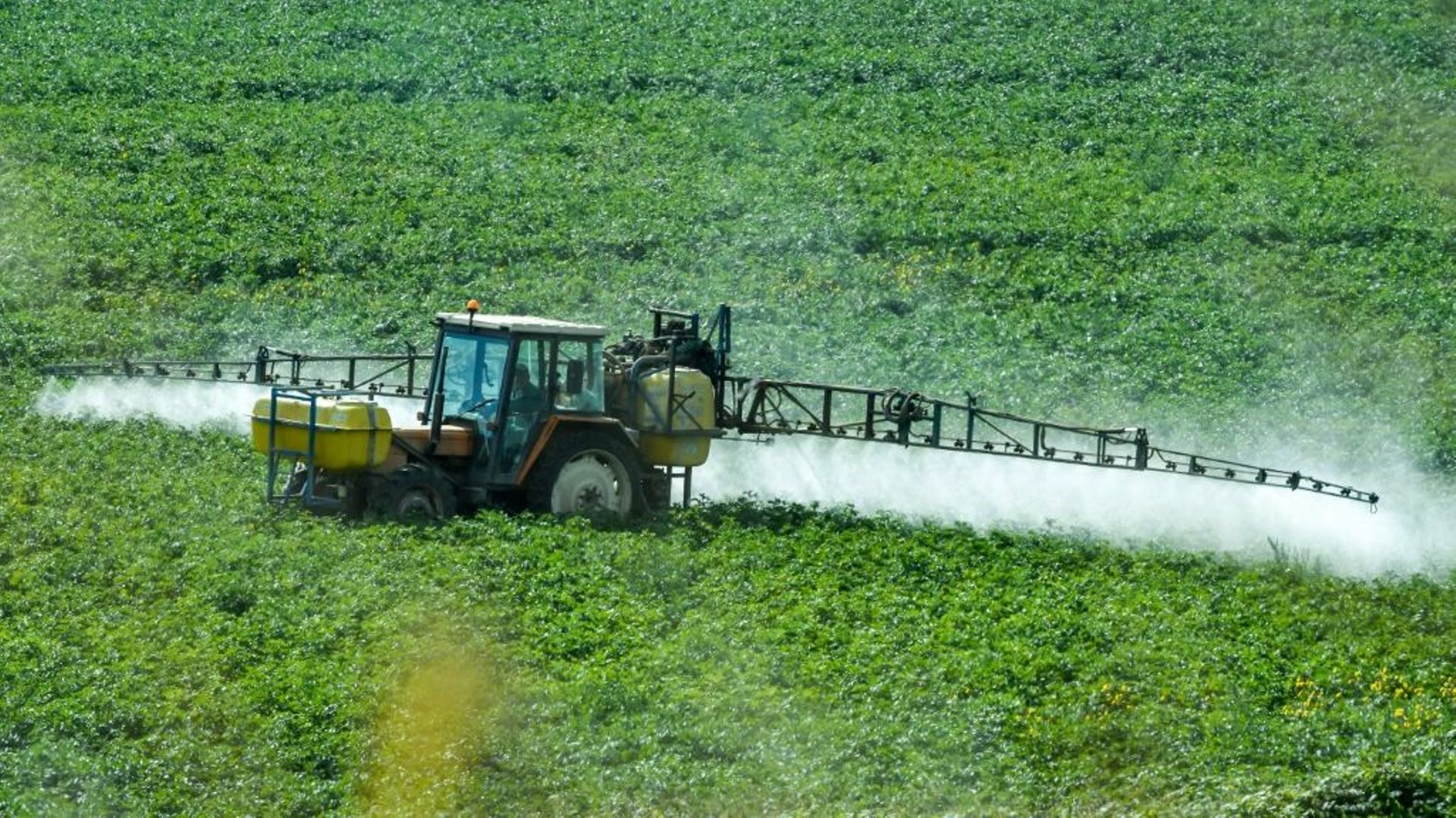 Le renouvellement de la licence dans l'UE du glyphosate, l'un des herbicides les plus utilisés dans le monde, accusé de provoquer le cancer, fait l'objet d'une féroce bataille à Bruxelles avant que l'autorisation actuelle ne s'achève fin décembre.
