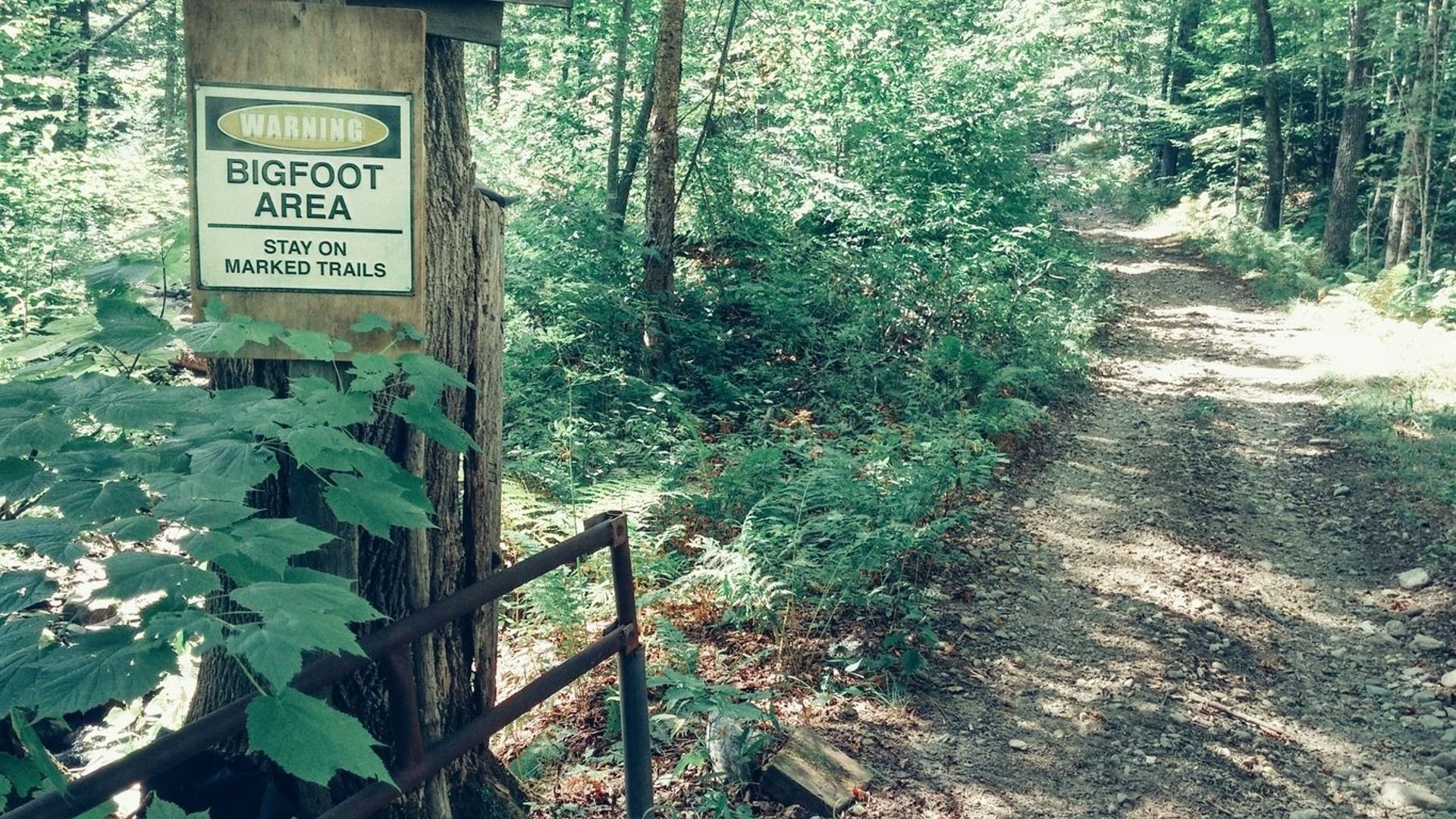 Aux Etats-Unis, dans les forêts supposées habitées par le Bigfoot, des panneaux mettent en garde les promeneurs.