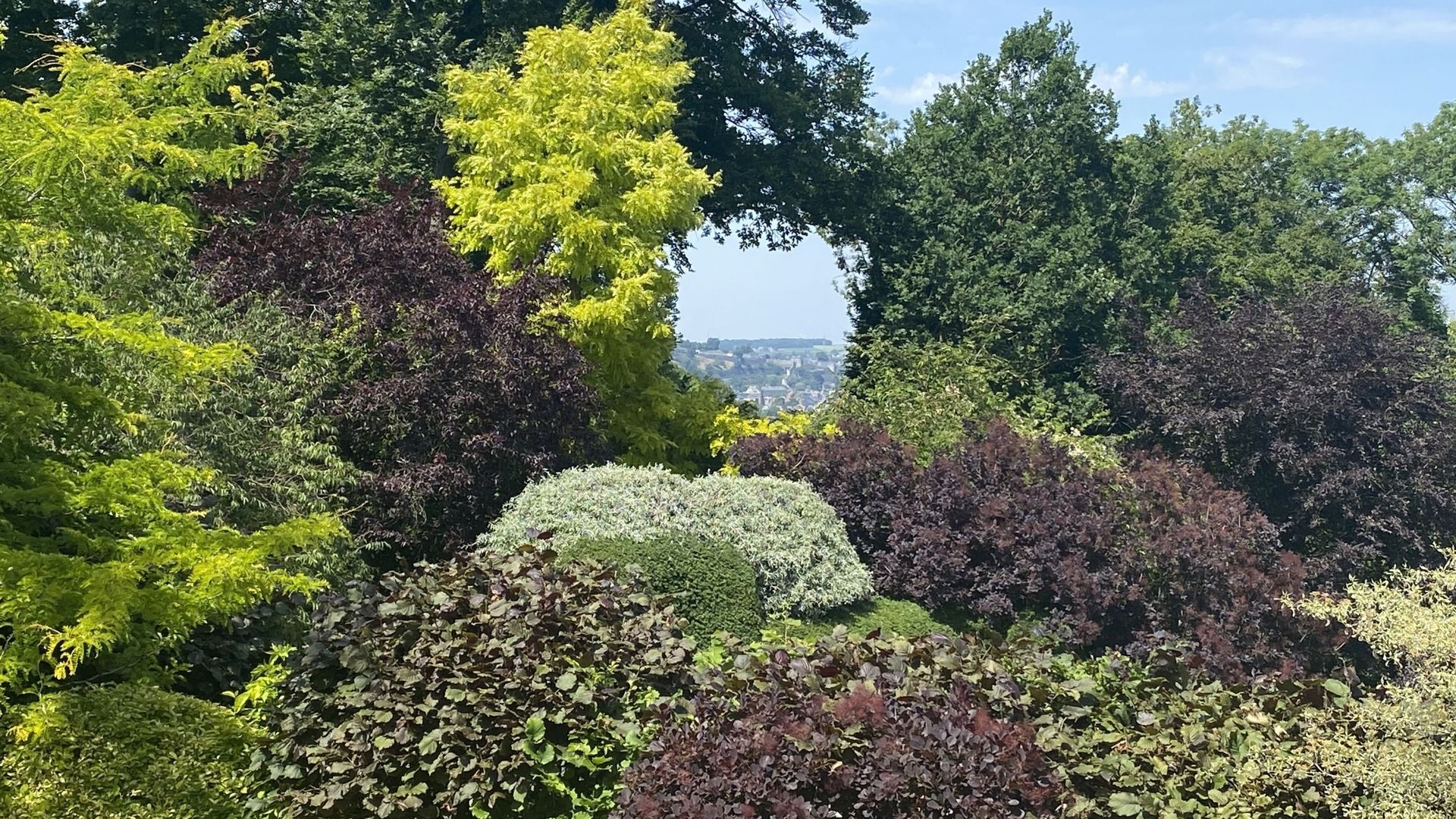 Une percée dans les arbres permet d’apercevoir au loin la citadelle et le téléphérique de Namur.