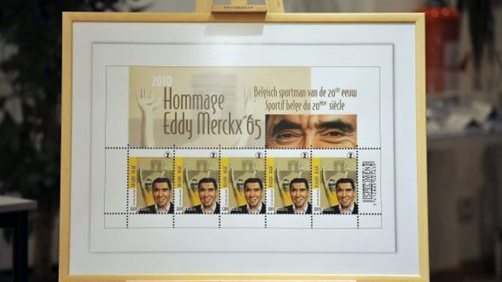 Timbres Eddy Merckx