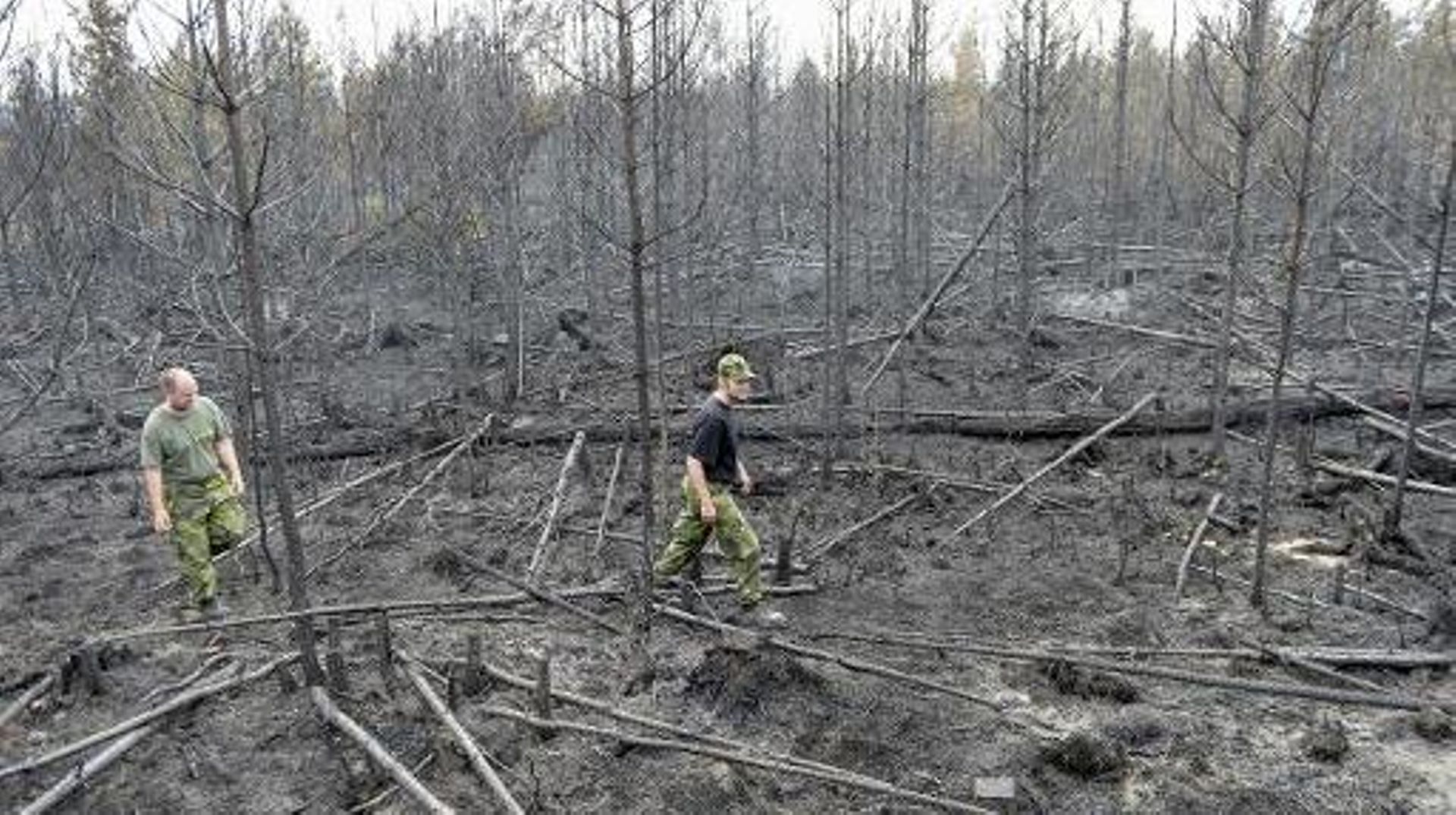 Les feux de forêt ont fait rage dans le centre de la Suède, près de Seglingsberg le 6 août 2014