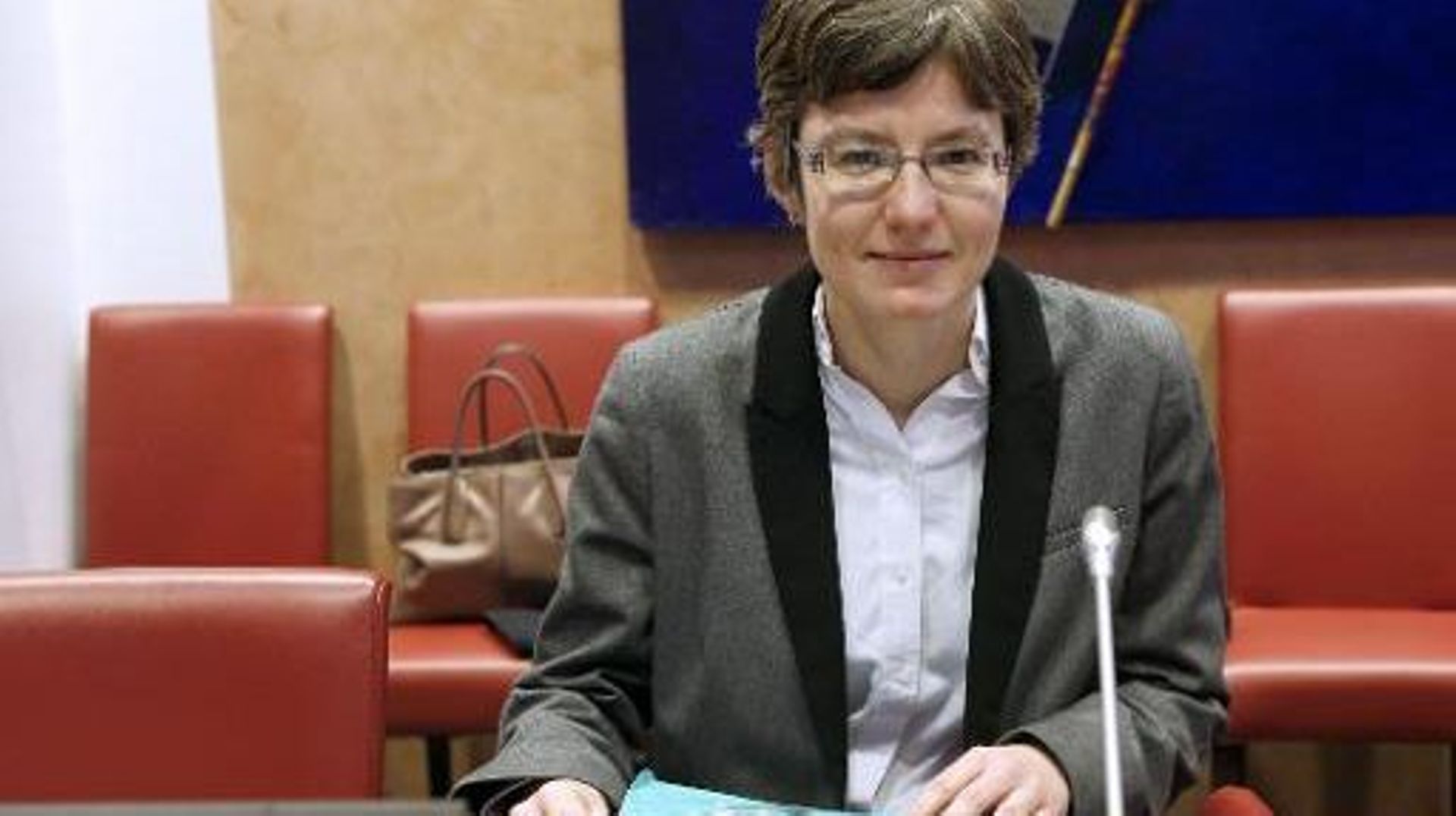 Anne Courrèges lors d'une audition à l'Assemblée nationale le 10 décembre 2014 