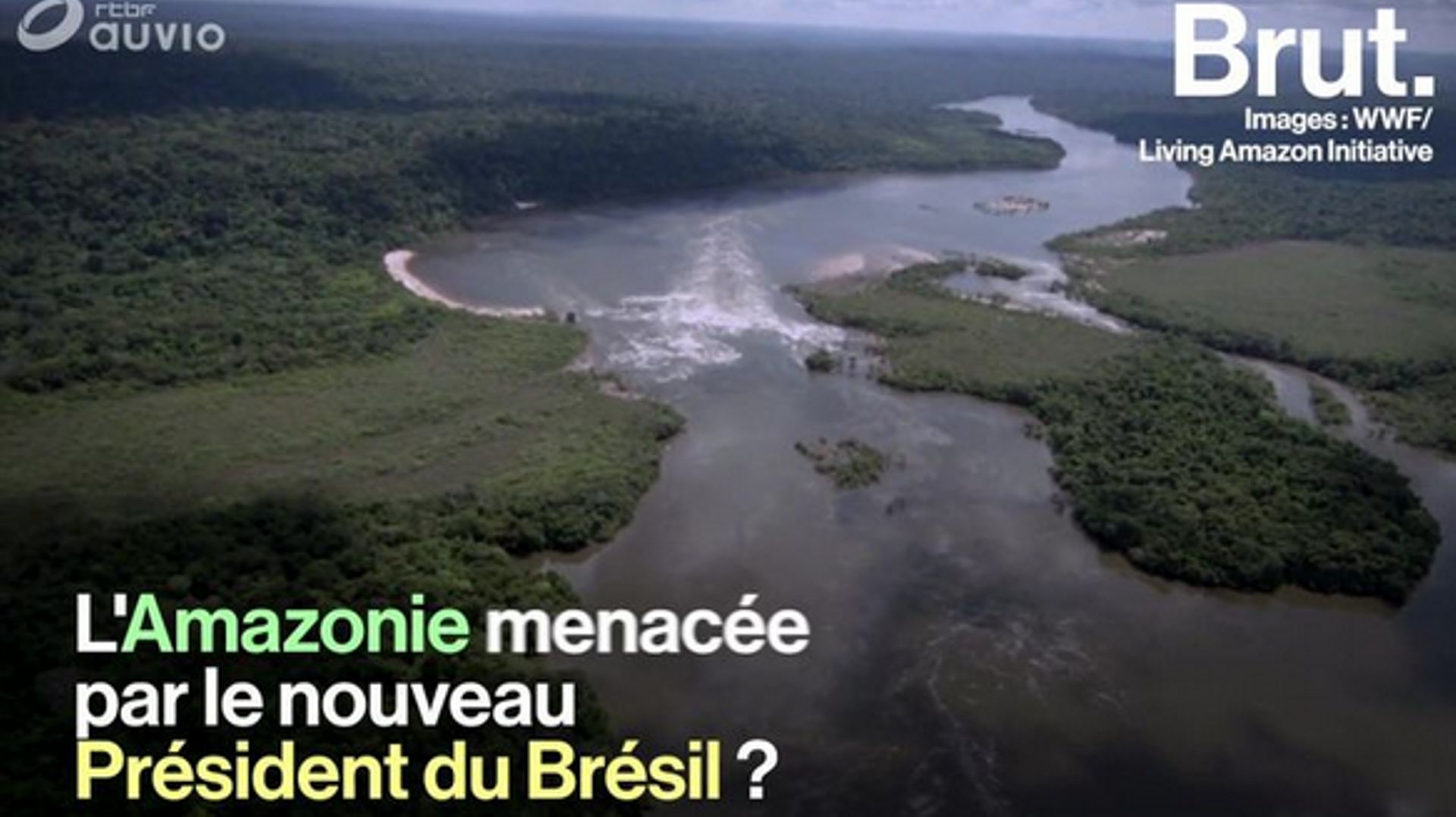 Brésil: l'Amazonie menacée par l'élection de Jair Bolsonaro