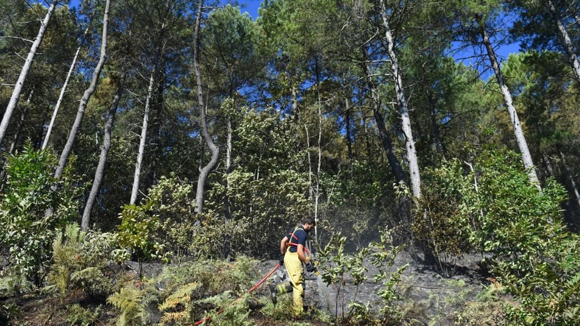 Un pompier intervient près de Bessèges dans le Gard, le 8 juillet 2022