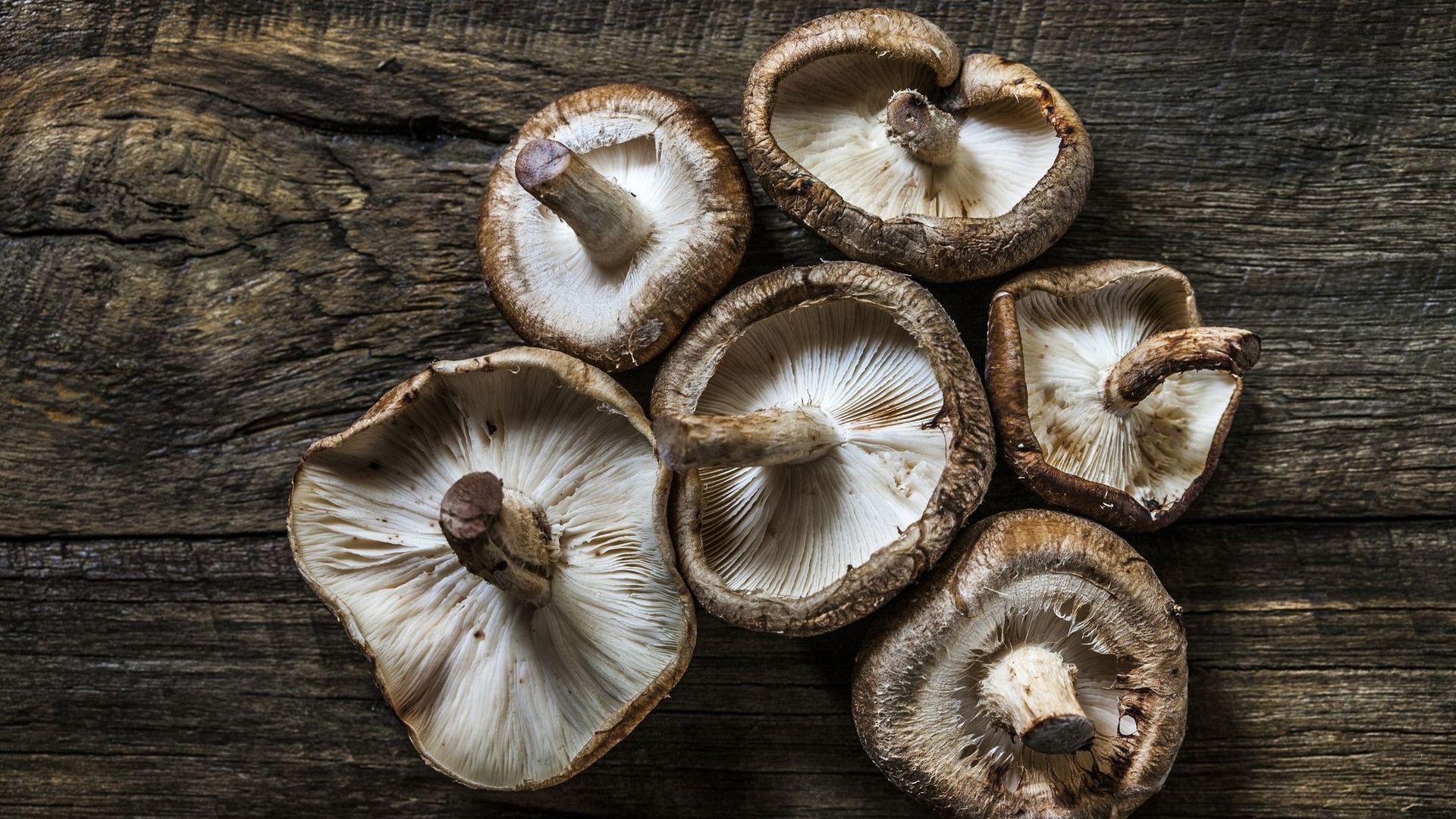 Pourquoi le champignon sera un aliment aux superpouvoirs en 2022 ?