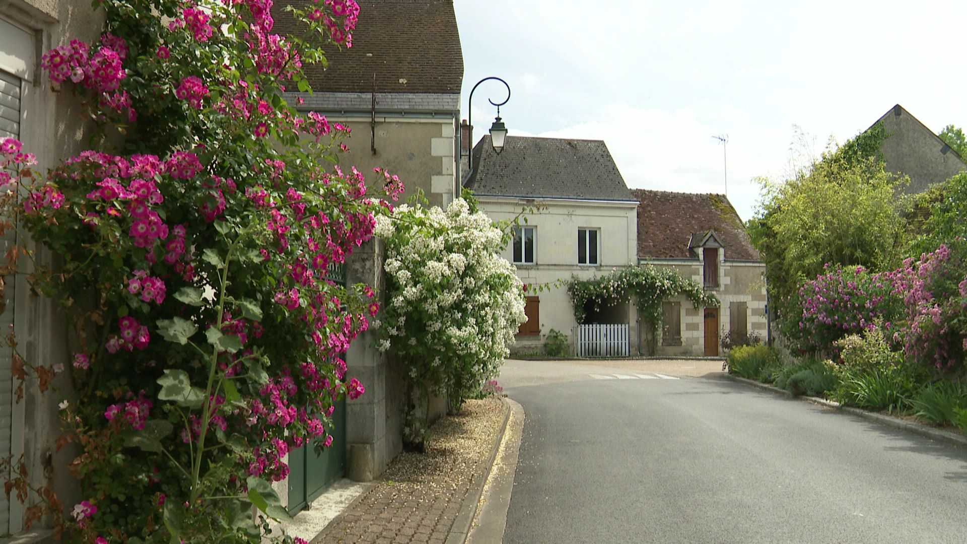 Chédigny, le village aux 1000 rosiers et 3000 vivaces