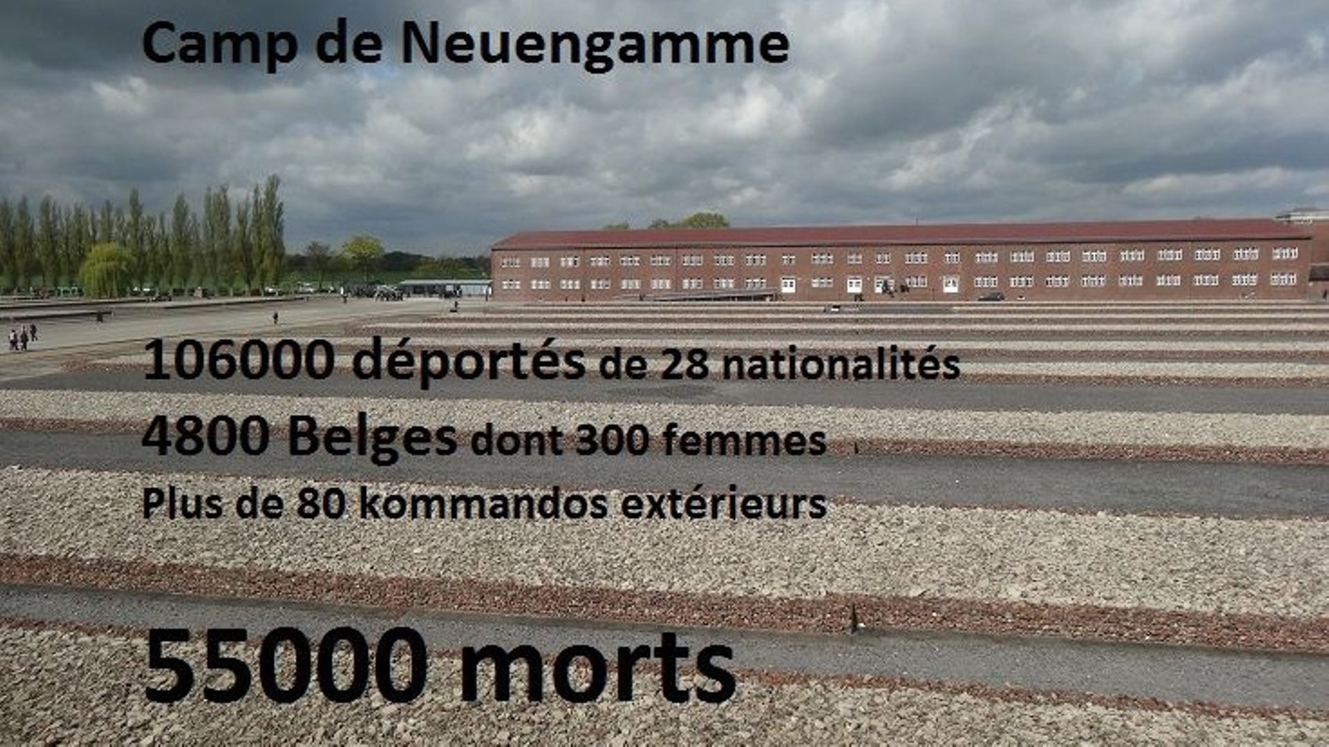 Camp de Neuengamme: les chiffres